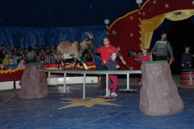 1.Zirkus_Bellissimo35b