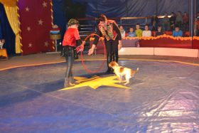 1.Zirkus_Bellissimo73b