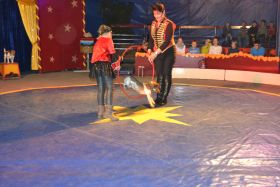 1.Zirkus_Bellissimo74b