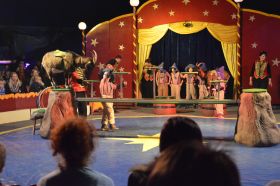 1.Zirkus_Bellissimo90b