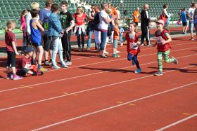 2016_Frhjahrslauf_007b