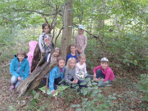 3b_Waldtag01b 3b_Waldtag01b