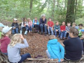 3b_Waldtag04b
