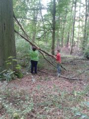 3b_Waldtag05b