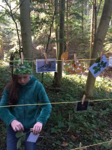 4b_Waldtag_02b