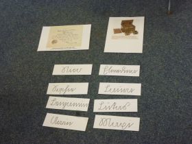 4c_Martin Luther 1b