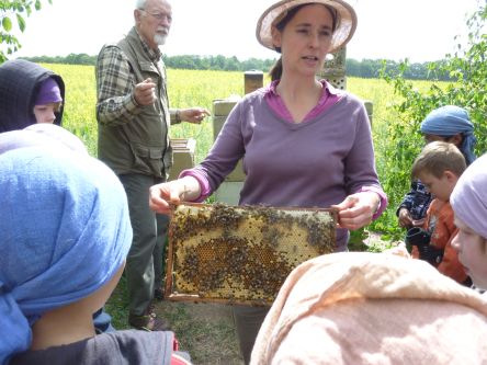 Bienenprojekt 08b