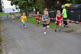 _Nepallauf2015_05b