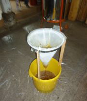 Bienenprojekt012b